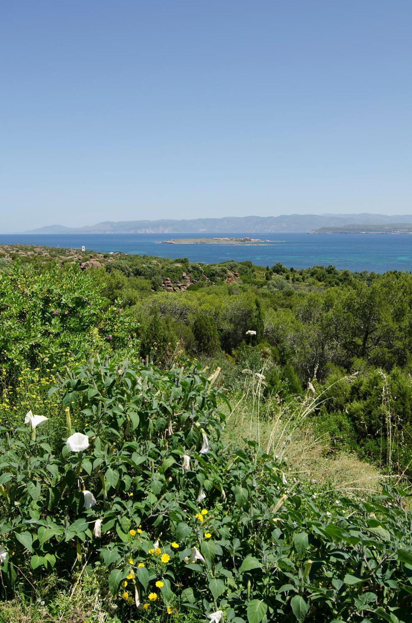 Hotel Paola 3*